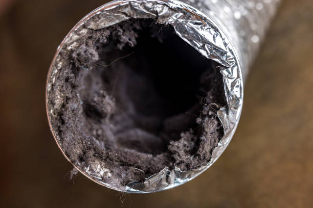 Best Dryer Vent Cleaning Services  in Kensington, CA